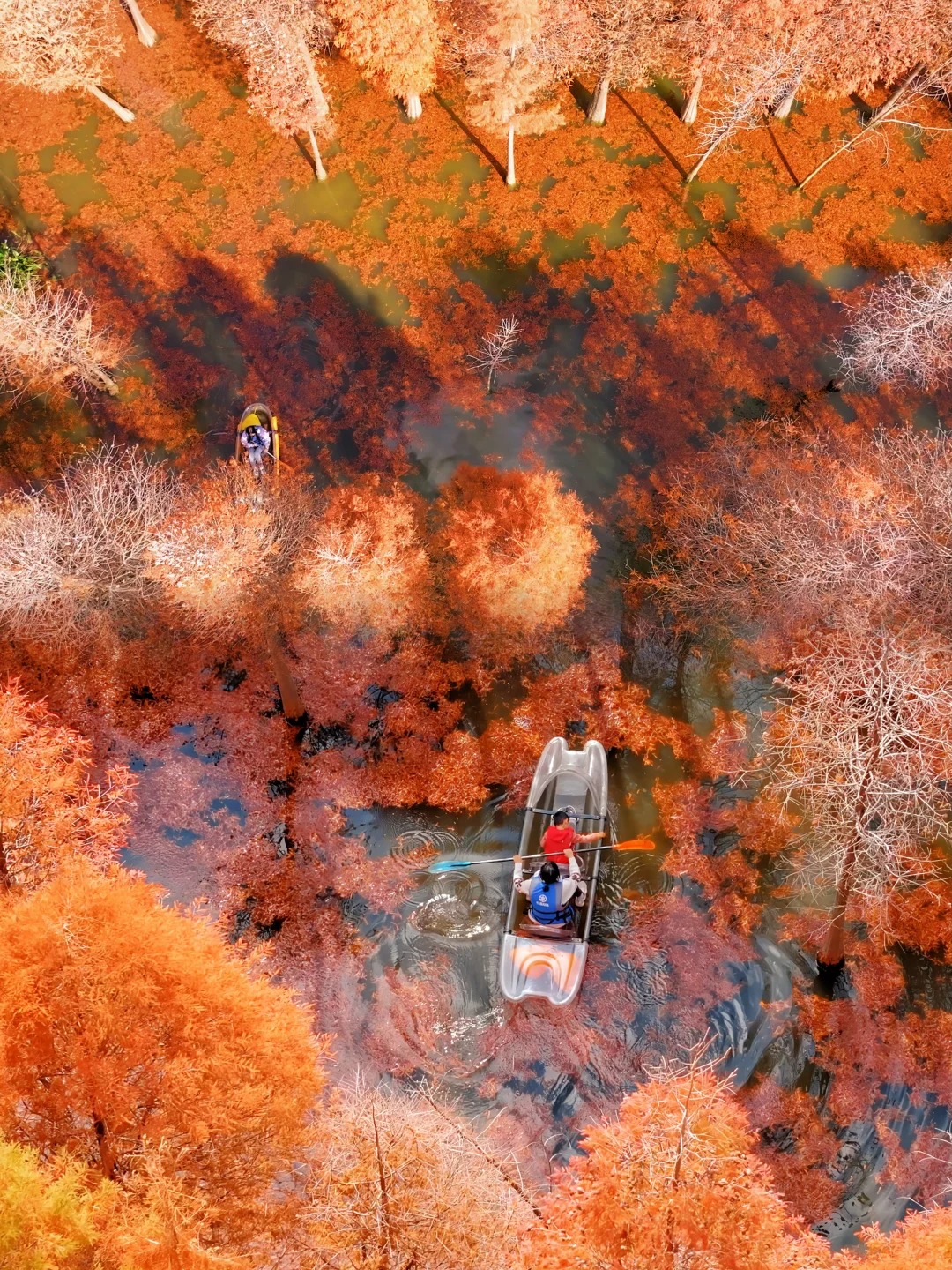 我愿称这里是赏秋的天花板🍂错过再等一年❗️_1_可乐旅行记_云南-来自52tours 我爱旅游网